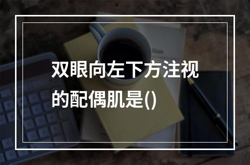 双眼向左下方注视的配偶肌是()