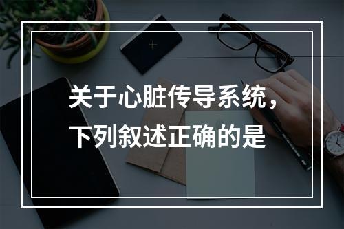 关于心脏传导系统，下列叙述正确的是