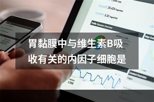 胃黏膜中与维生素B吸收有关的内因子细胞是