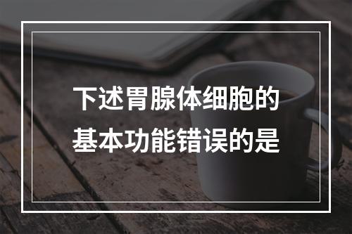 下述胃腺体细胞的基本功能错误的是