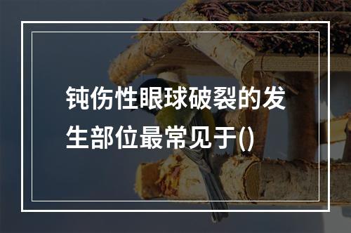 钝伤性眼球破裂的发生部位最常见于()