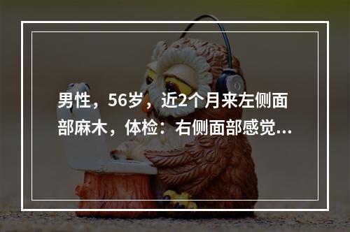 男性，56岁，近2个月来左侧面部麻木，体检：右侧面部感觉障碍