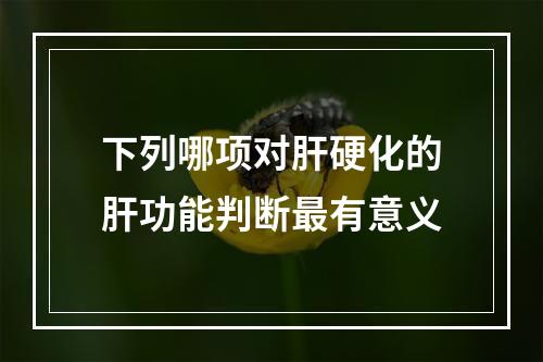 下列哪项对肝硬化的肝功能判断最有意义