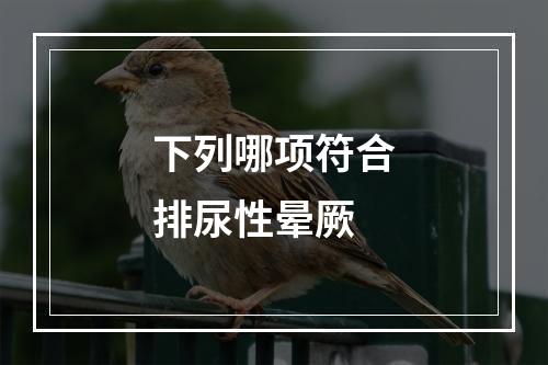 下列哪项符合排尿性晕厥