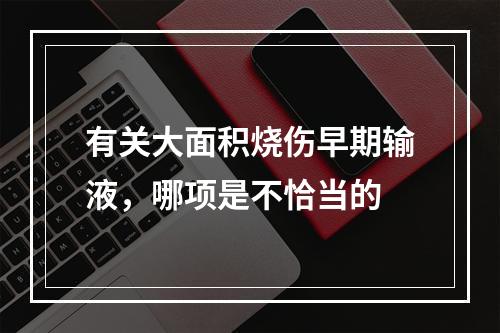 有关大面积烧伤早期输液，哪项是不恰当的