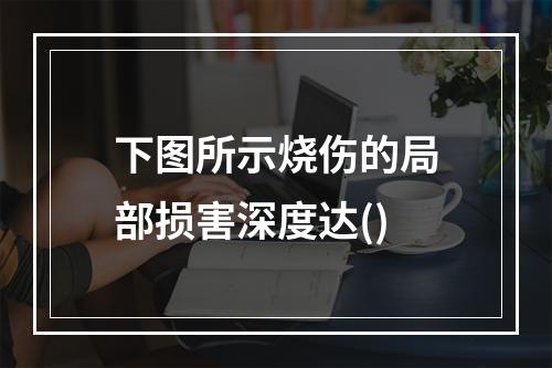 下图所示烧伤的局部损害深度达()