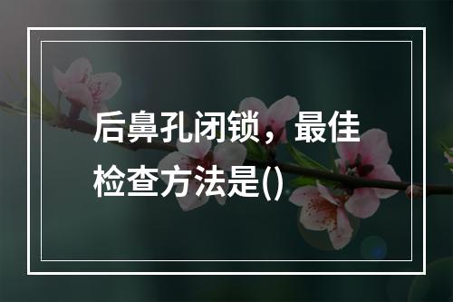 后鼻孔闭锁，最佳检查方法是()