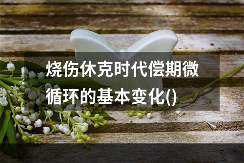 烧伤休克时代偿期微循环的基本变化()