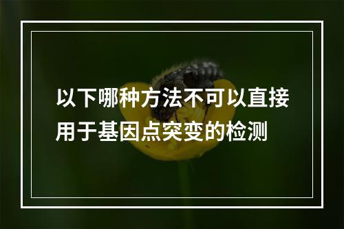 以下哪种方法不可以直接用于基因点突变的检测