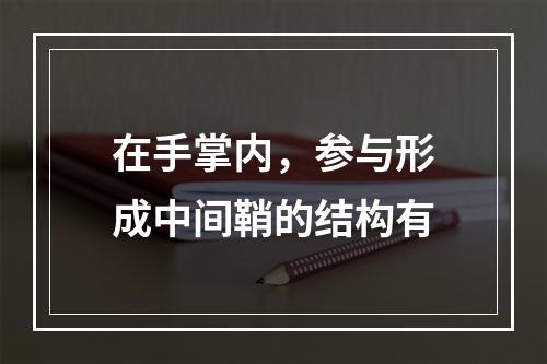 在手掌内，参与形成中间鞘的结构有