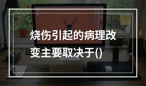 烧伤引起的病理改变主要取决于()