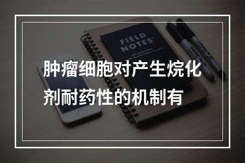 肿瘤细胞对产生烷化剂耐药性的机制有