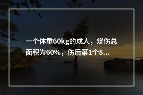 一个体重60kg的成人，烧伤总面积为60%，伤后第1个8小时