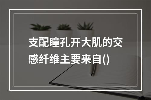 支配瞳孔开大肌的交感纤维主要来自()