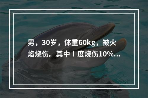 男，30岁，体重60kg，被火焰烧伤。其中Ⅰ度烧伤10%，Ⅱ