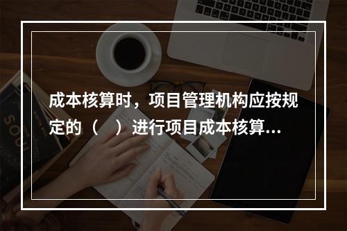 成本核算时，项目管理机构应按规定的（　）进行项目成本核算。