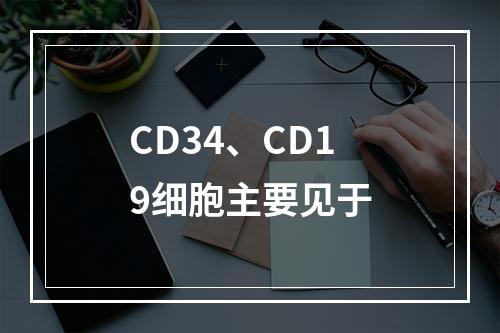 CD34、CD19细胞主要见于