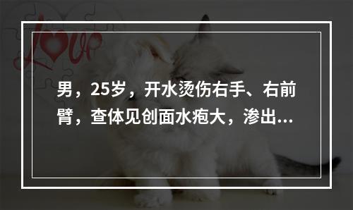 男，25岁，开水烫伤右手、右前臂，查体见创面水疱大，渗出多，