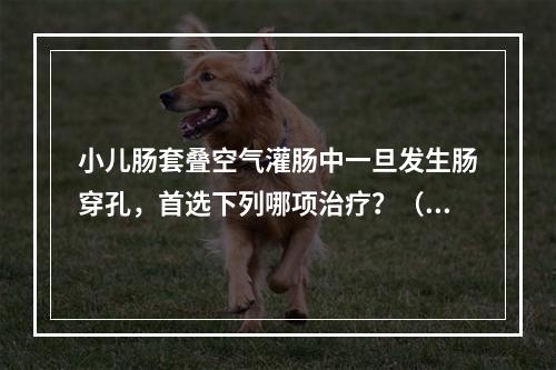 小儿肠套叠空气灌肠中一旦发生肠穿孔，首选下列哪项治疗？（　　