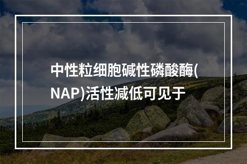 中性粒细胞碱性磷酸酶(NAP)活性减低可见于