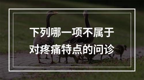 下列哪一项不属于对疼痛特点的问诊