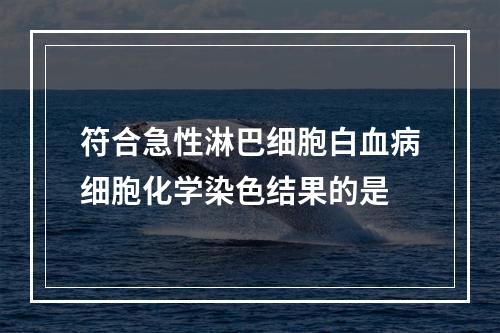 符合急性淋巴细胞白血病细胞化学染色结果的是