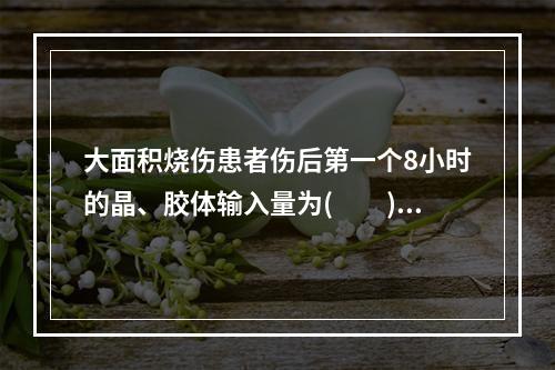 大面积烧伤患者伤后第一个8小时的晶、胶体输入量为(　　)。