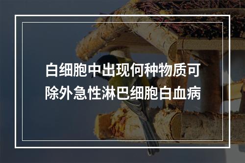 白细胞中出现何种物质可除外急性淋巴细胞白血病