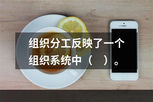 组织分工反映了一个组织系统中（　）。