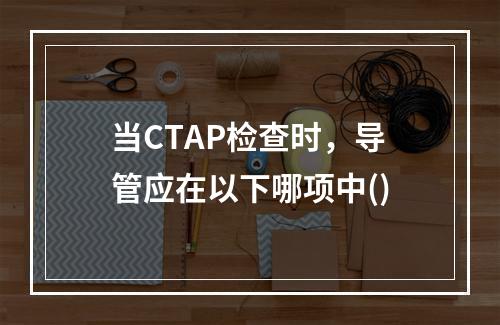 当CTAP检查时，导管应在以下哪项中()