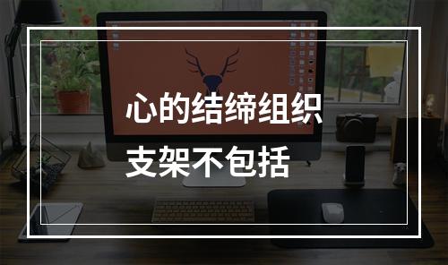 心的结缔组织支架不包括