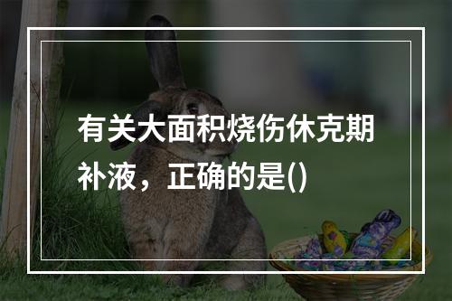 有关大面积烧伤休克期补液，正确的是()