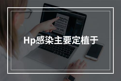 Hp感染主要定植于