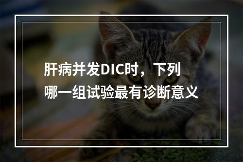 肝病并发DIC时，下列哪一组试验最有诊断意义