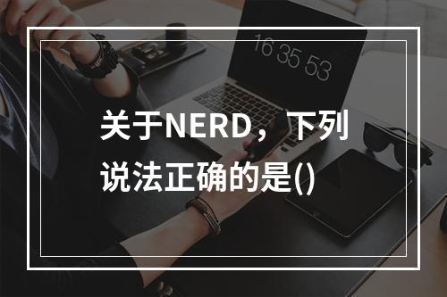 关于NERD，下列说法正确的是()