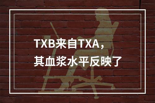 TXB来自TXA，其血浆水平反映了