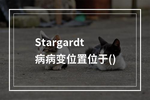 Stargardt病病变位置位于()