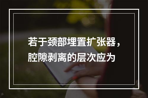 若于颈部埋置扩张器，腔隙剥离的层次应为