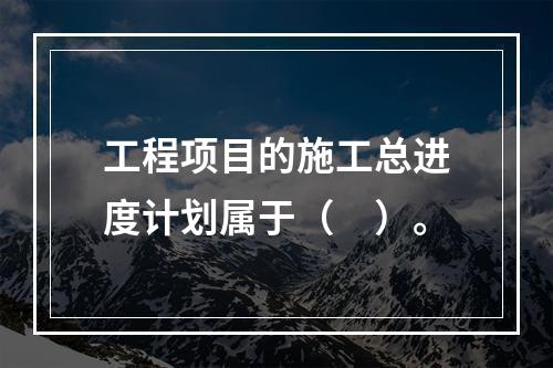 工程项目的施工总进度计划属于（　）。