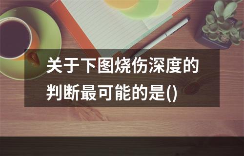 关于下图烧伤深度的判断最可能的是()