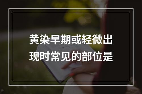 黄染早期或轻微出现时常见的部位是