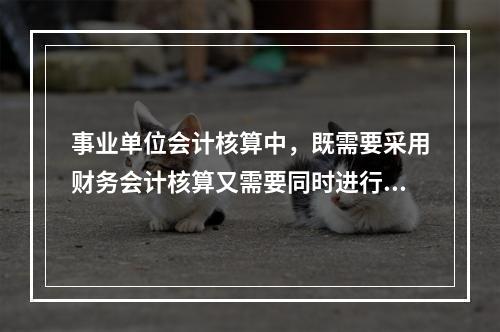 事业单位会计核算中，既需要采用财务会计核算又需要同时进行预算