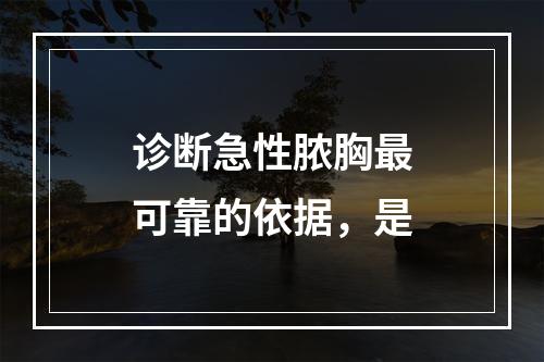 诊断急性脓胸最可靠的依据，是