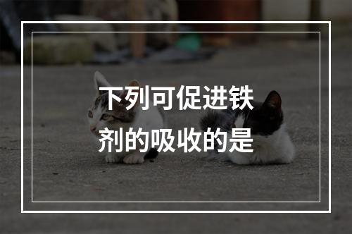 下列可促进铁剂的吸收的是