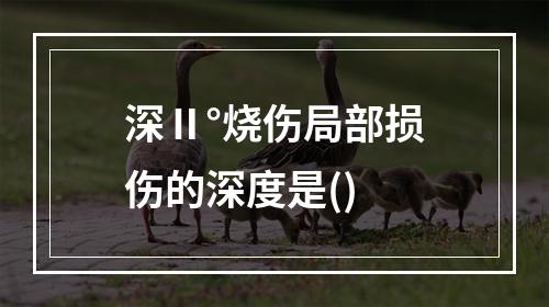 深Ⅱ°烧伤局部损伤的深度是()