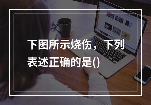 下图所示烧伤，下列表述正确的是()