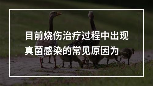 目前烧伤治疗过程中出现真菌感染的常见原因为