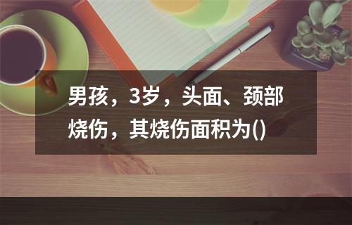 男孩，3岁，头面、颈部烧伤，其烧伤面积为()