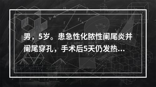 男，5岁。患急性化脓性阑尾炎并阑尾穿孔，手术后5天仍发热、腹