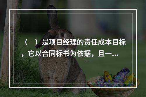 （　）是项目经理的责任成本目标，它以合同标书为依据，且一般情